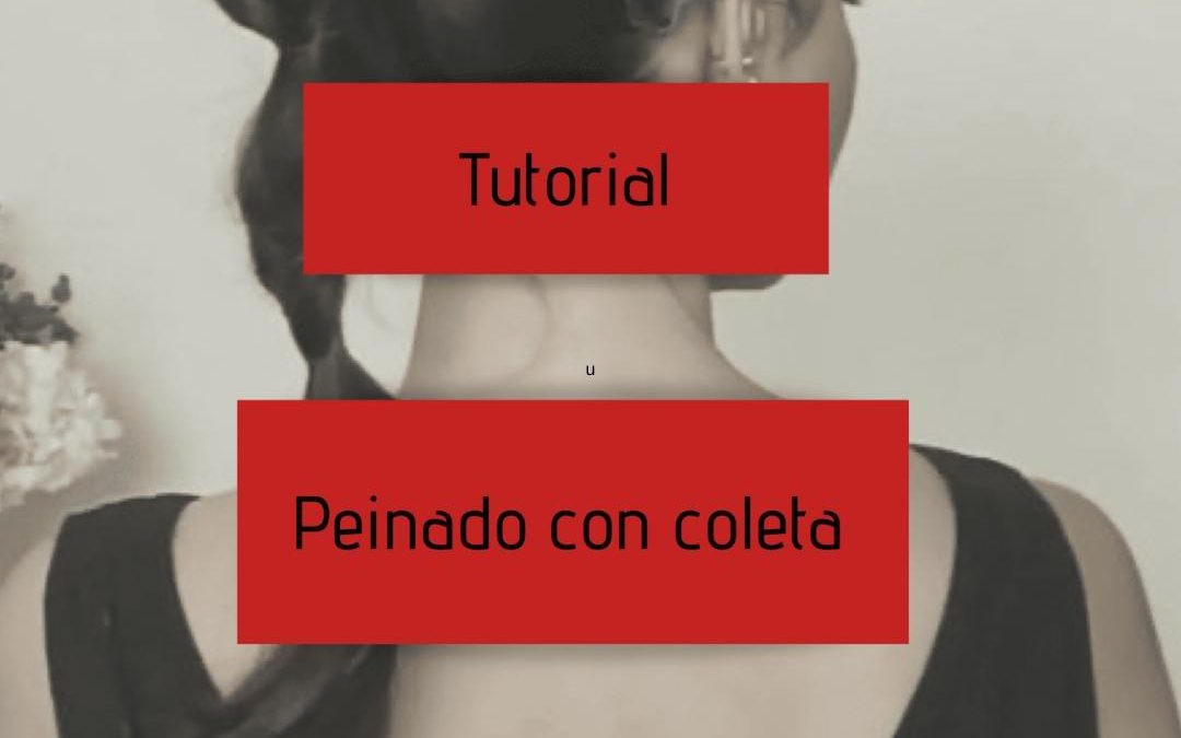 Tutorial peinado con coleta