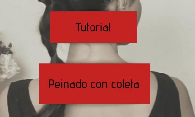Tutorial peinado con coleta