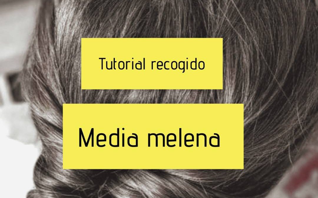 Tutorial recogido sencillo- Media melena