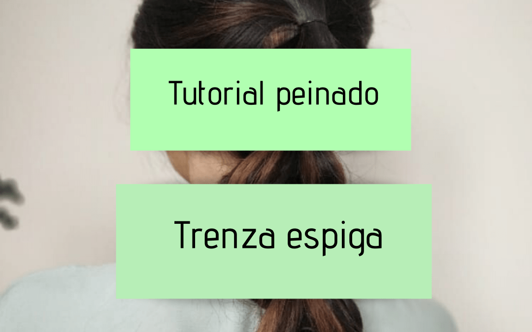 Tutorial peinado trenza espiga