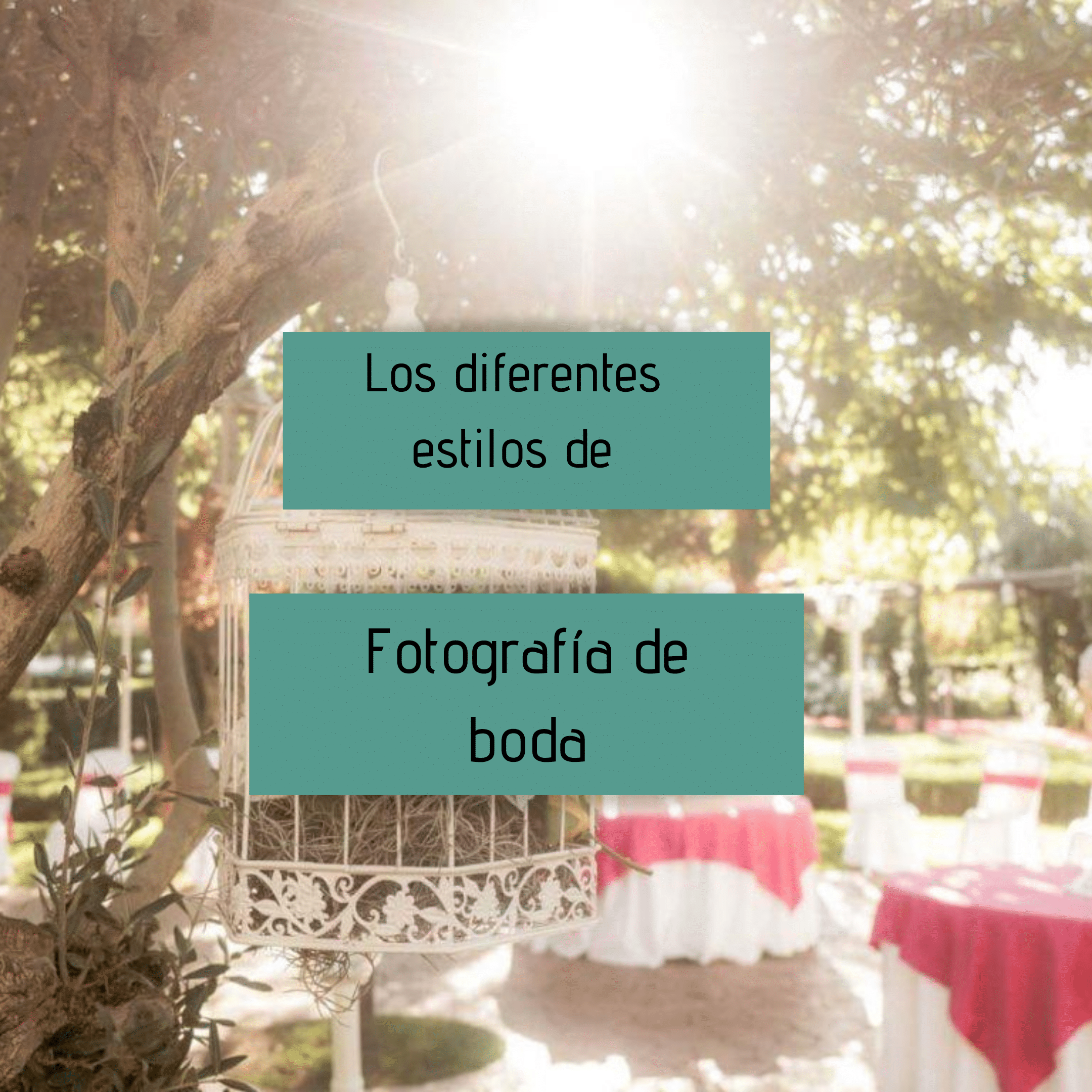 LOS DIFERENTES ESTILOS DE FOTOGRAFÍA DE BODA 2 LOS DIFERENTES ESTILOS DE FOTOGRAFÍA DE BODA 1